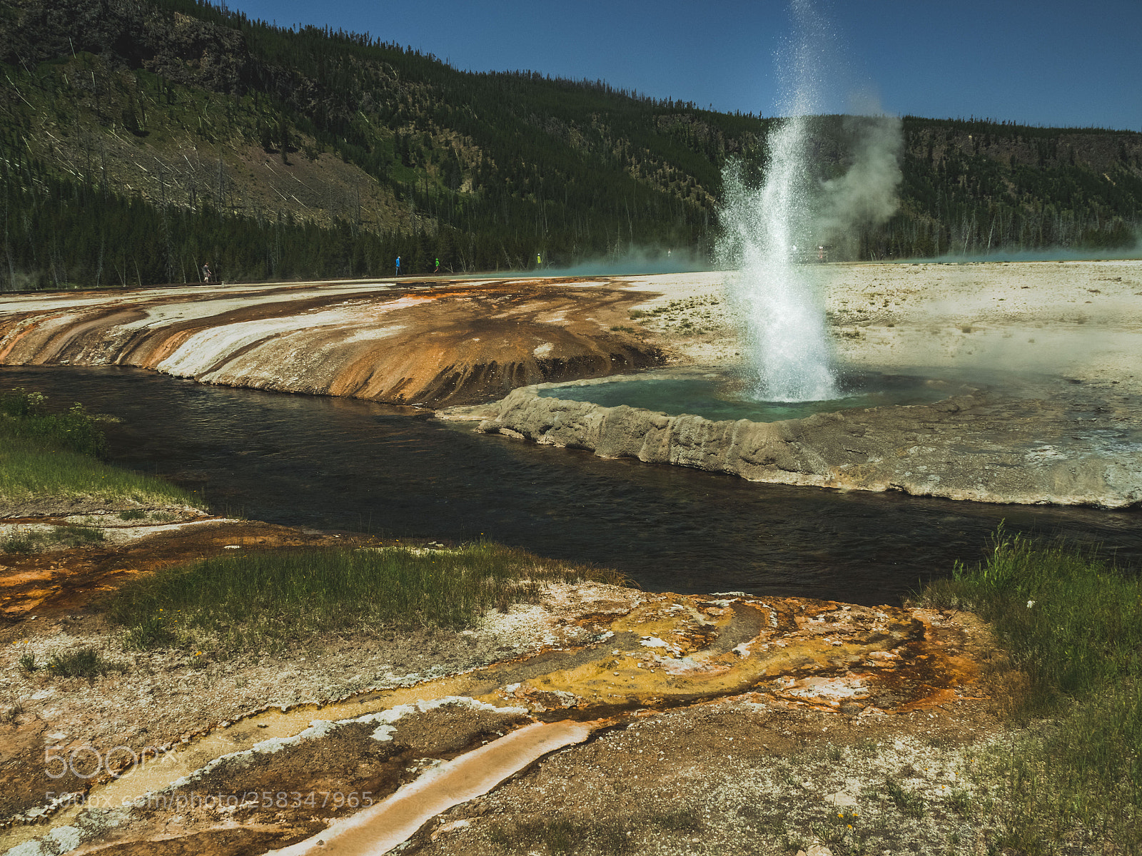 Olympus OM-D E-M5 II sample photo. A geyser with wings? photography