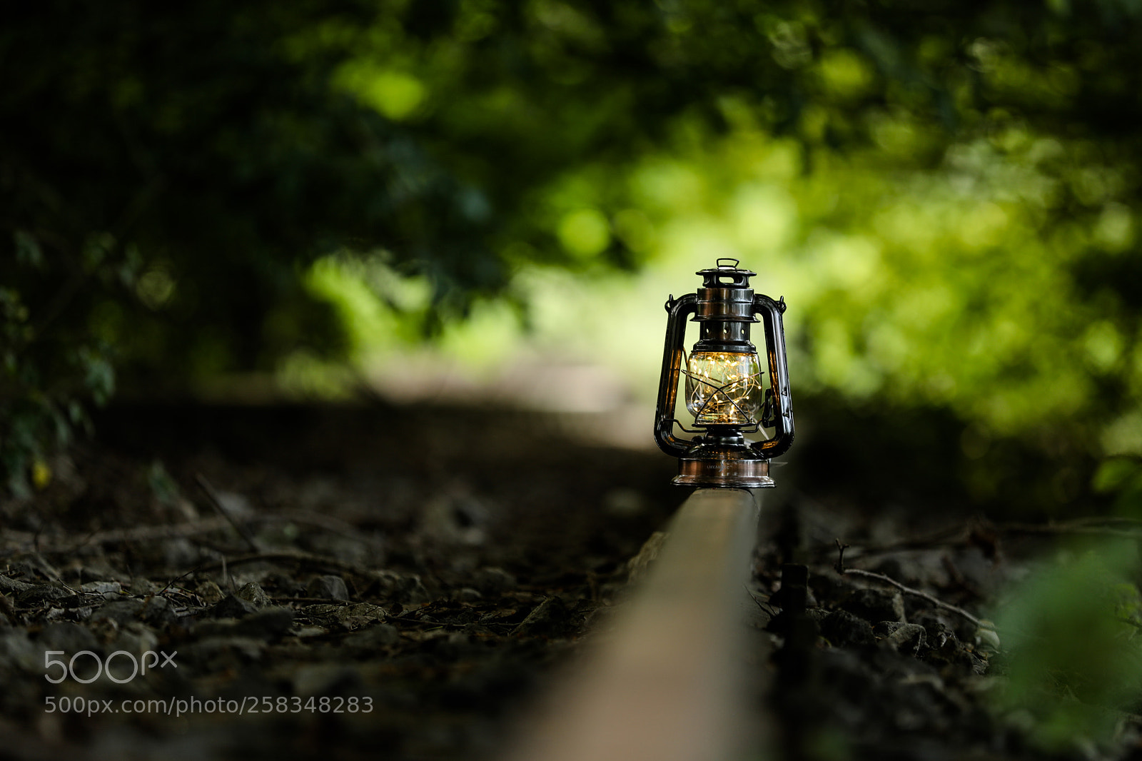 Canon EOS 5D Mark IV sample photo. Abandoned rails photography