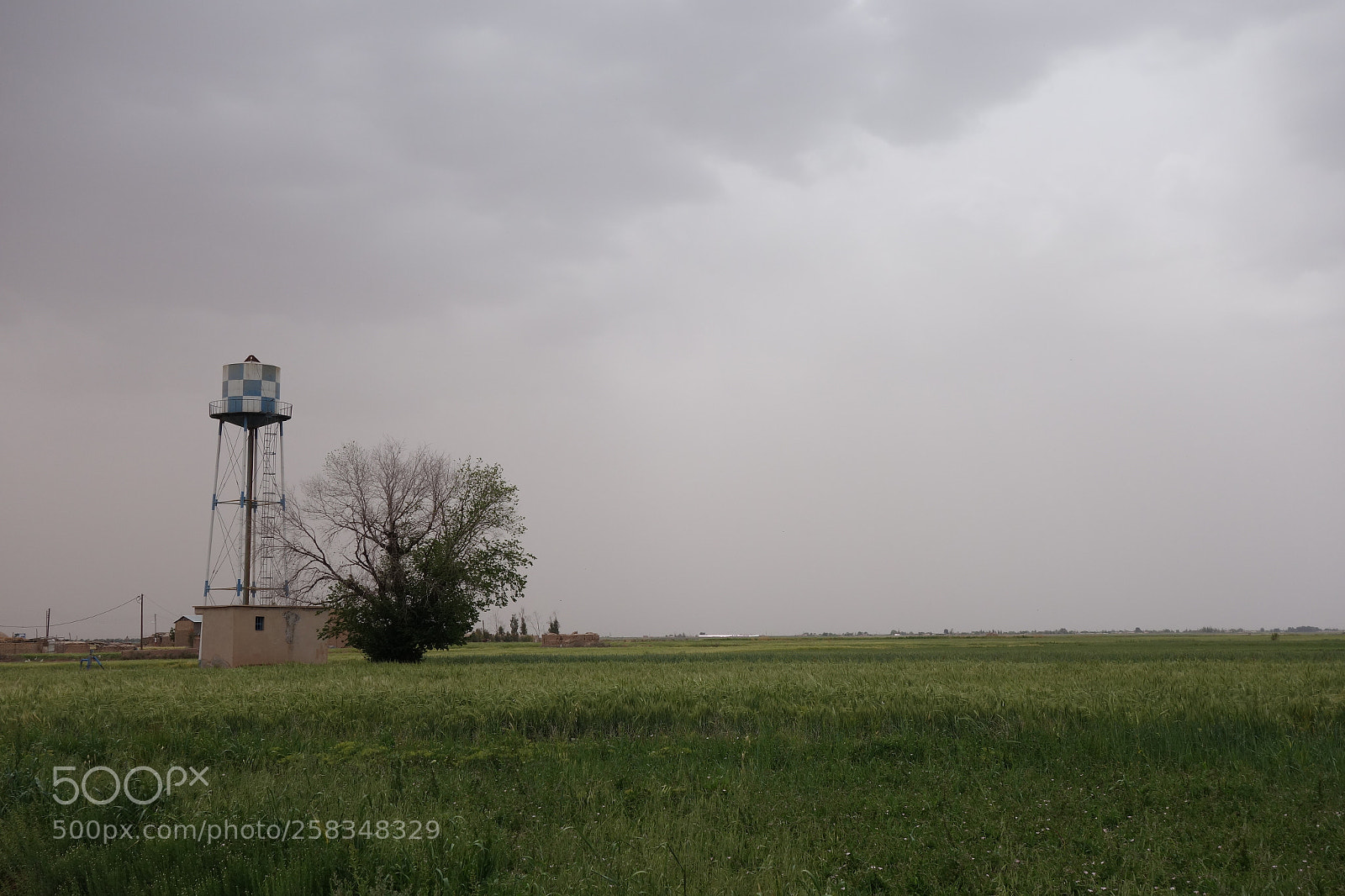 Sony Cyber-shot DSC-RX100 II sample photo. A field near garmsar photography