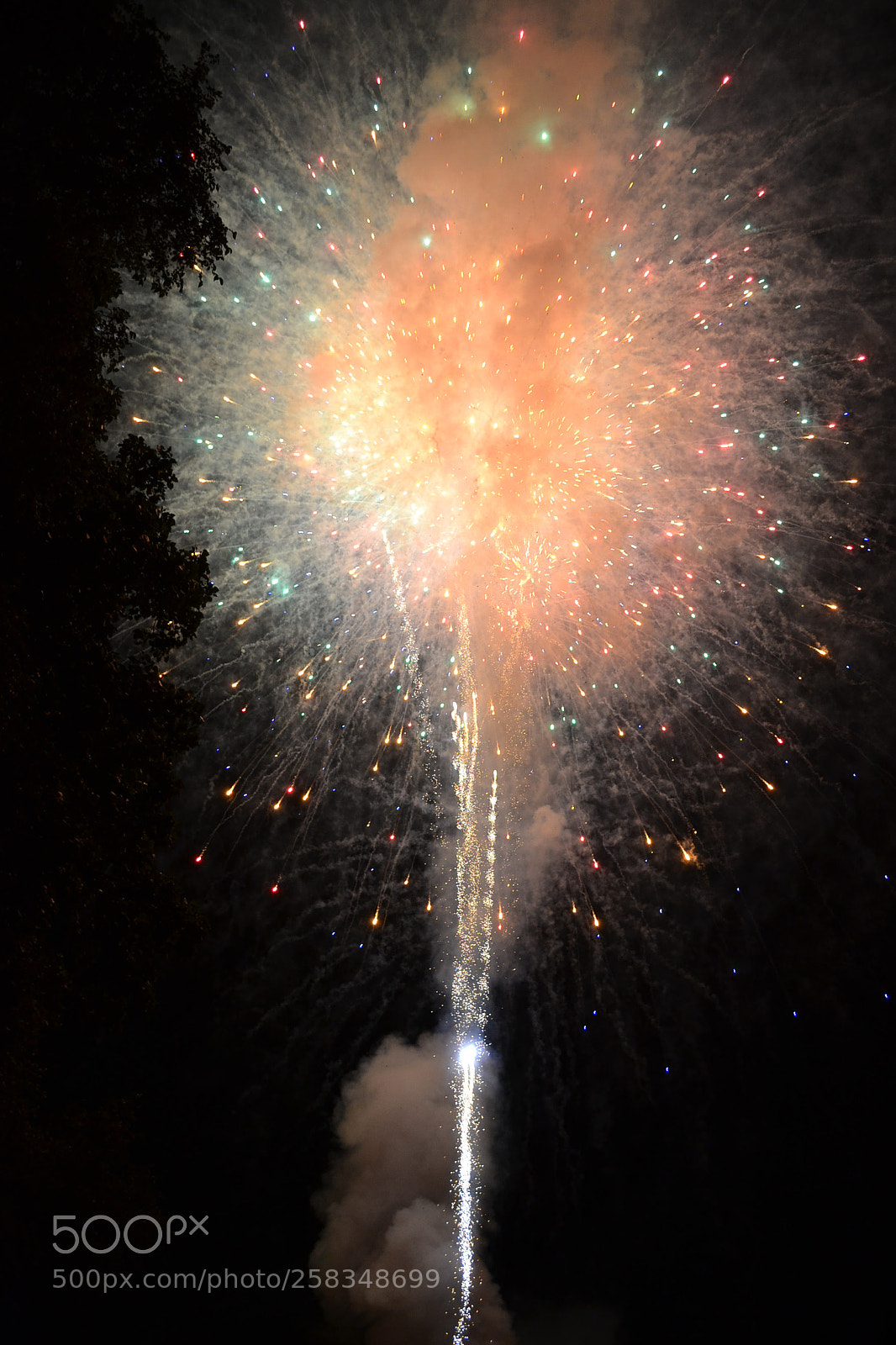 Nikon D3100 sample photo. Fireworks in dc july photography