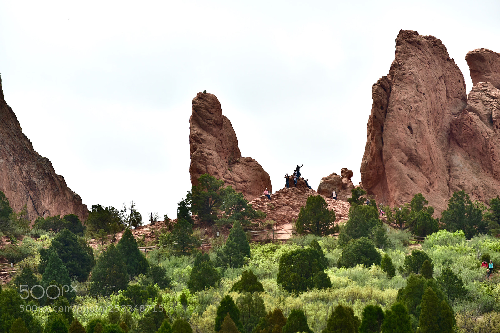 Nikon D810 sample photo. Garden of the gods photography