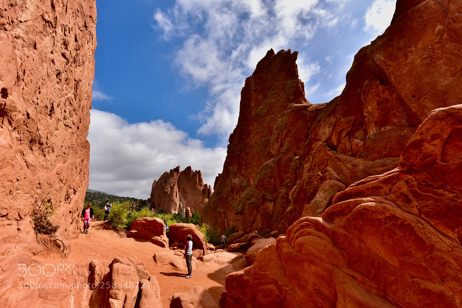 Nikon D810 sample photo. Garden of the gods photography