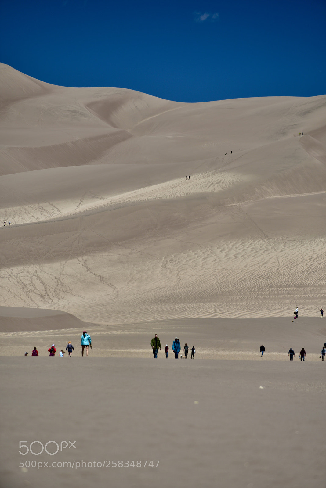 Nikon D810 sample photo. Great sand dunes national photography
