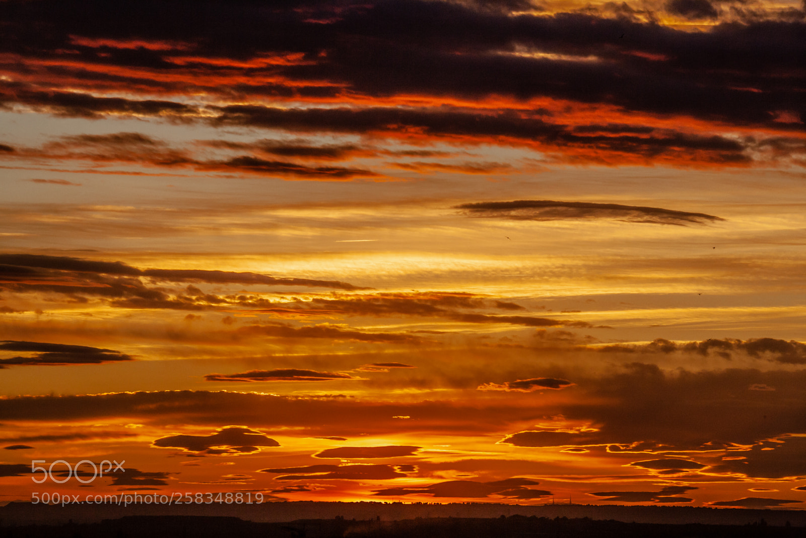 Canon EOS-1Ds Mark II sample photo. Garrigues sunset photography