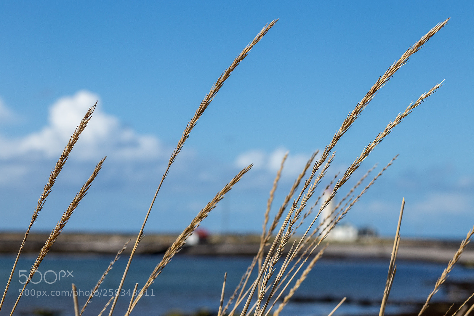 Canon EOS 6D sample photo. Straws by the lighthouse photography