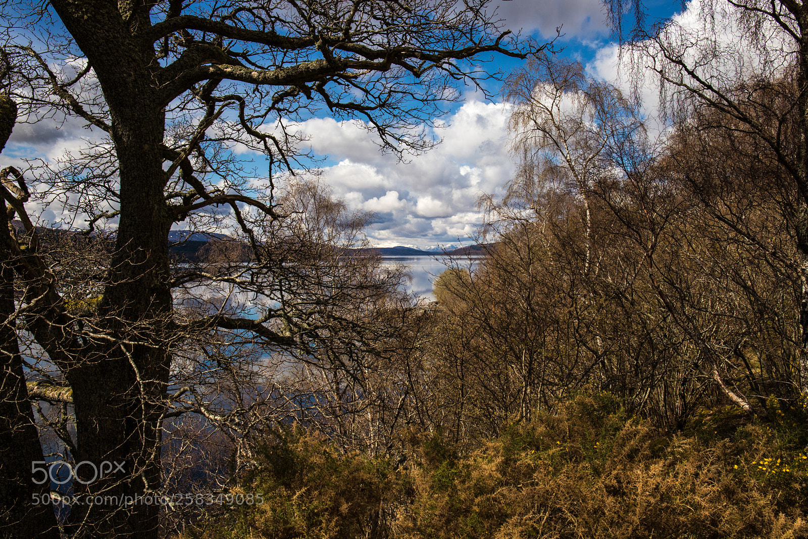 Canon EOS 6D Mark II sample photo. Kinloch rannoch photography