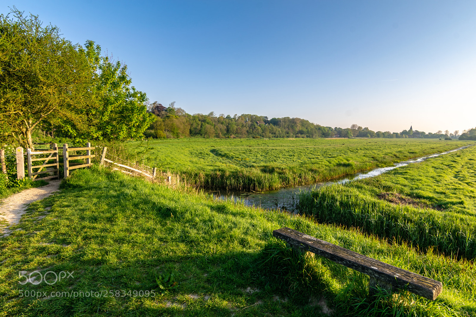 Nikon D5300 sample photo. Alfriston photography