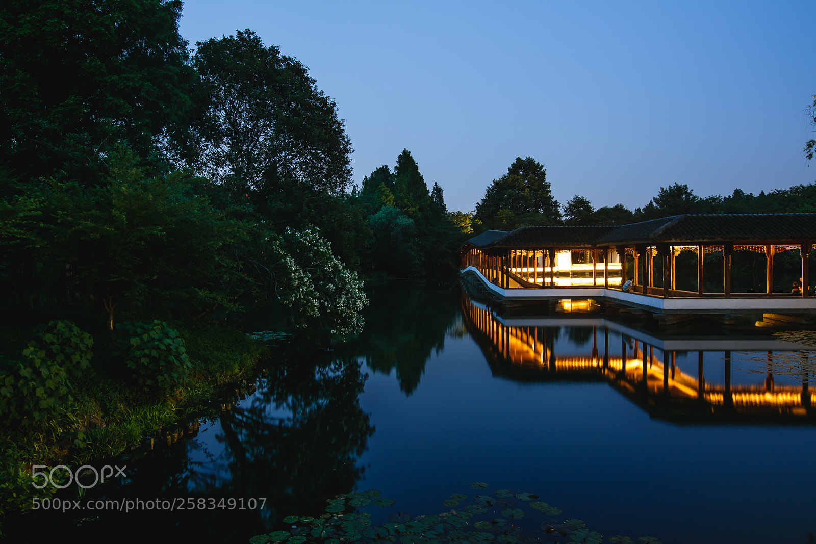Canon EOS 5DS sample photo. 霁虹桥夜幕 photography