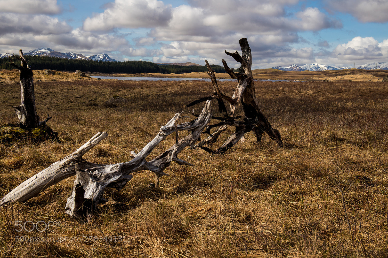 Canon EOS 6D Mark II sample photo. Kinloch rannoch 3 photography