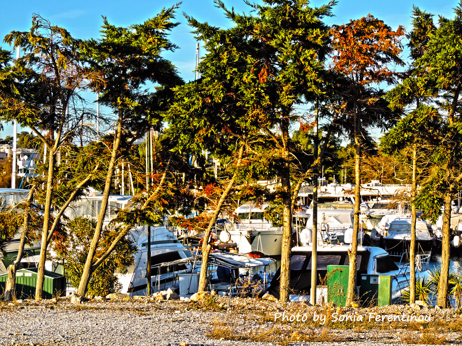 Nikon Coolpix P520 sample photo. Marina... photography