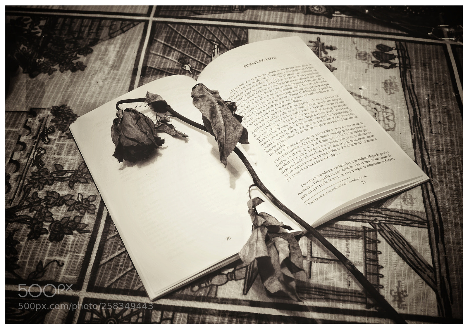 Canon EOS 1000D (EOS Digital Rebel XS / EOS Kiss F) sample photo. Dead rose and book photography