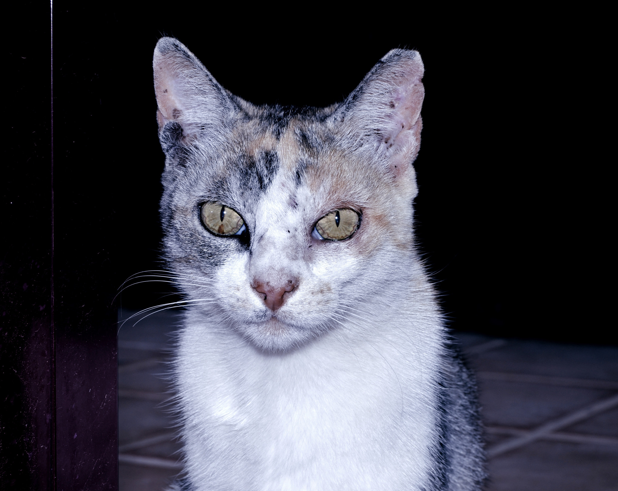 Nikon D5100 sample photo