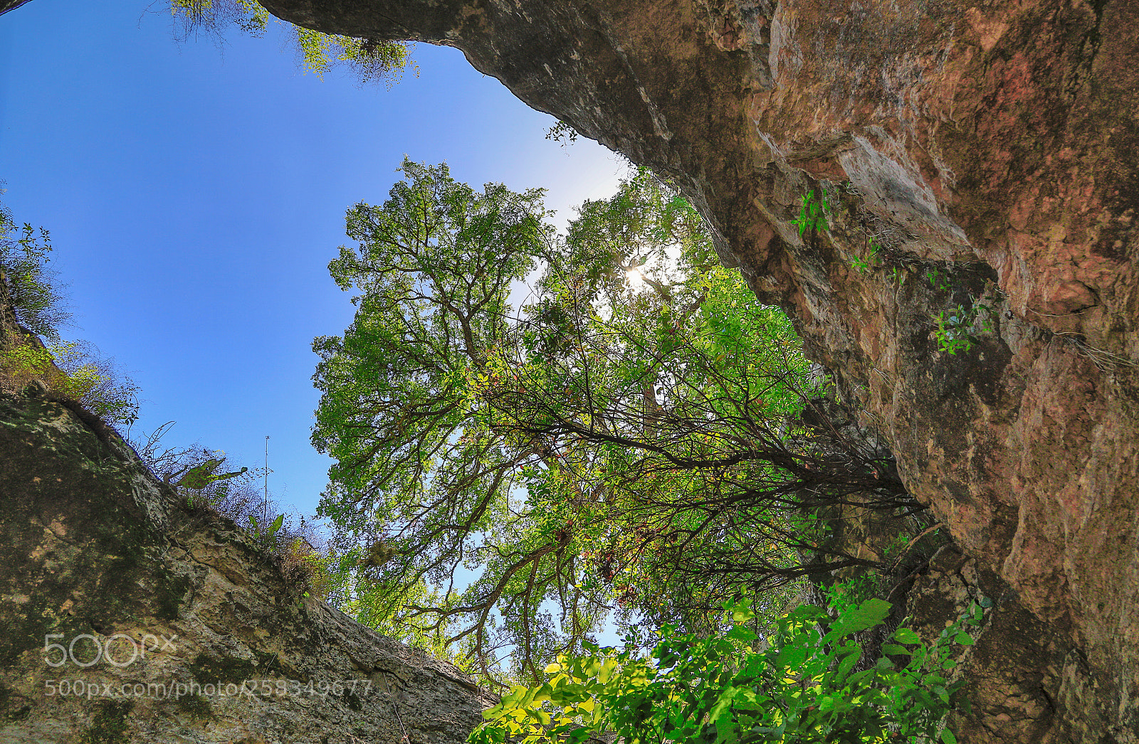Canon EOS 5D Mark IV sample photo. Longhorn caverns photography