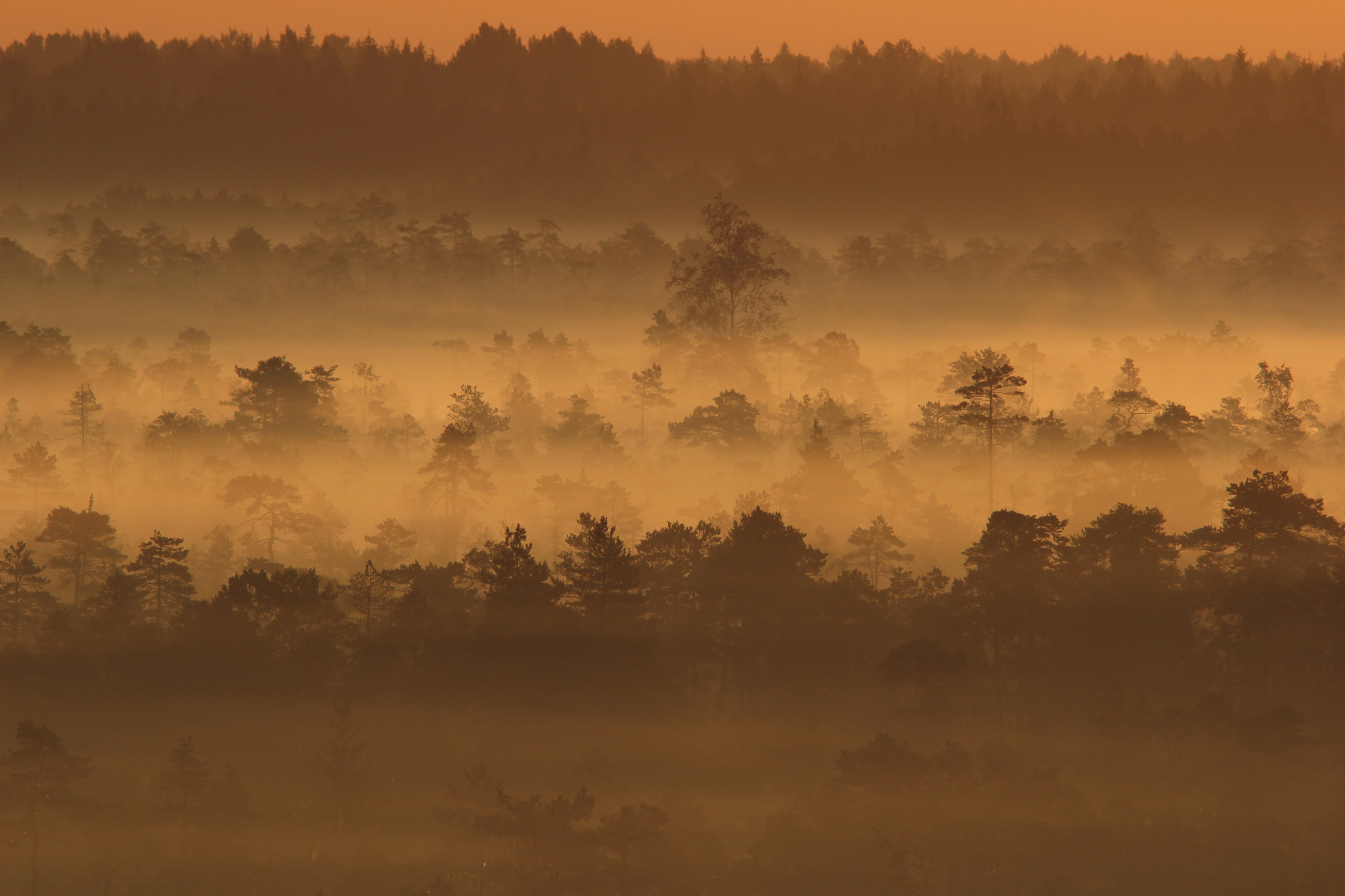 Canon EF 300mm F4L IS USM sample photo. Sunrise photography