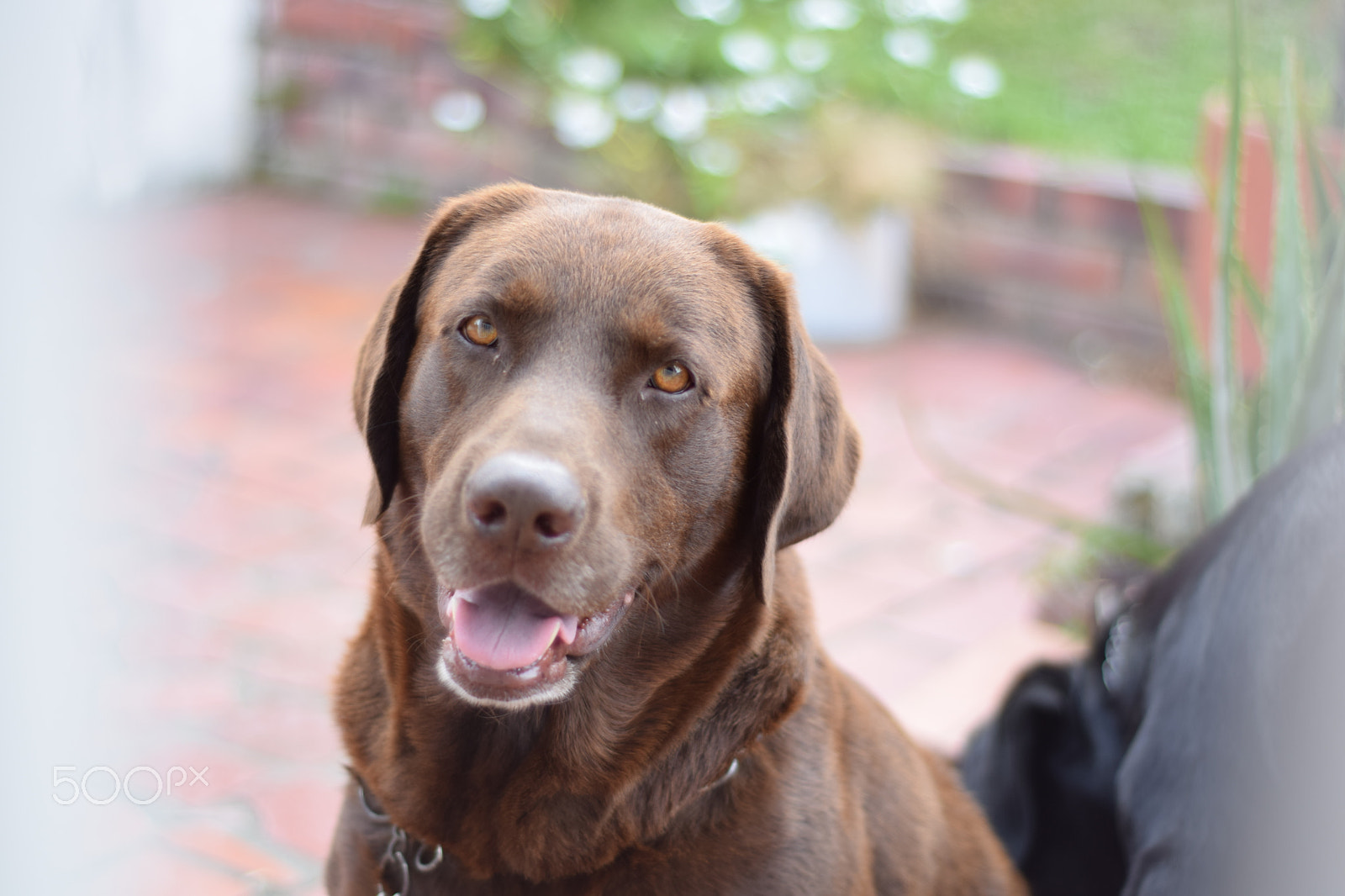 Nikon D5300 + Nikon AF Nikkor 50mm F1.8D sample photo. Jack photography