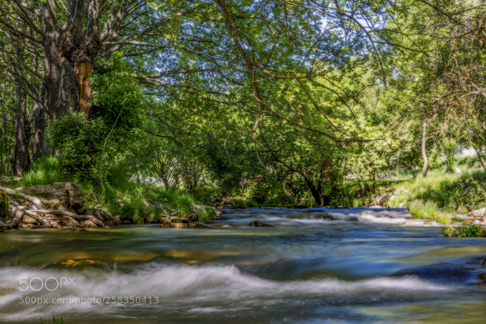Nikon D5200 sample photo. River photography