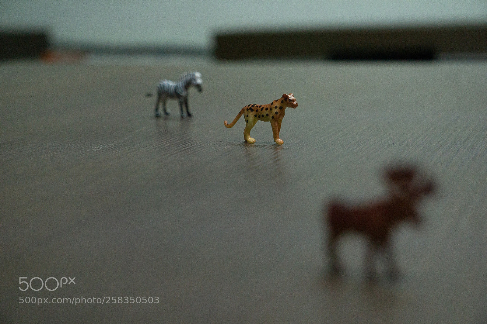 Sony a6000 sample photo. 3 photography