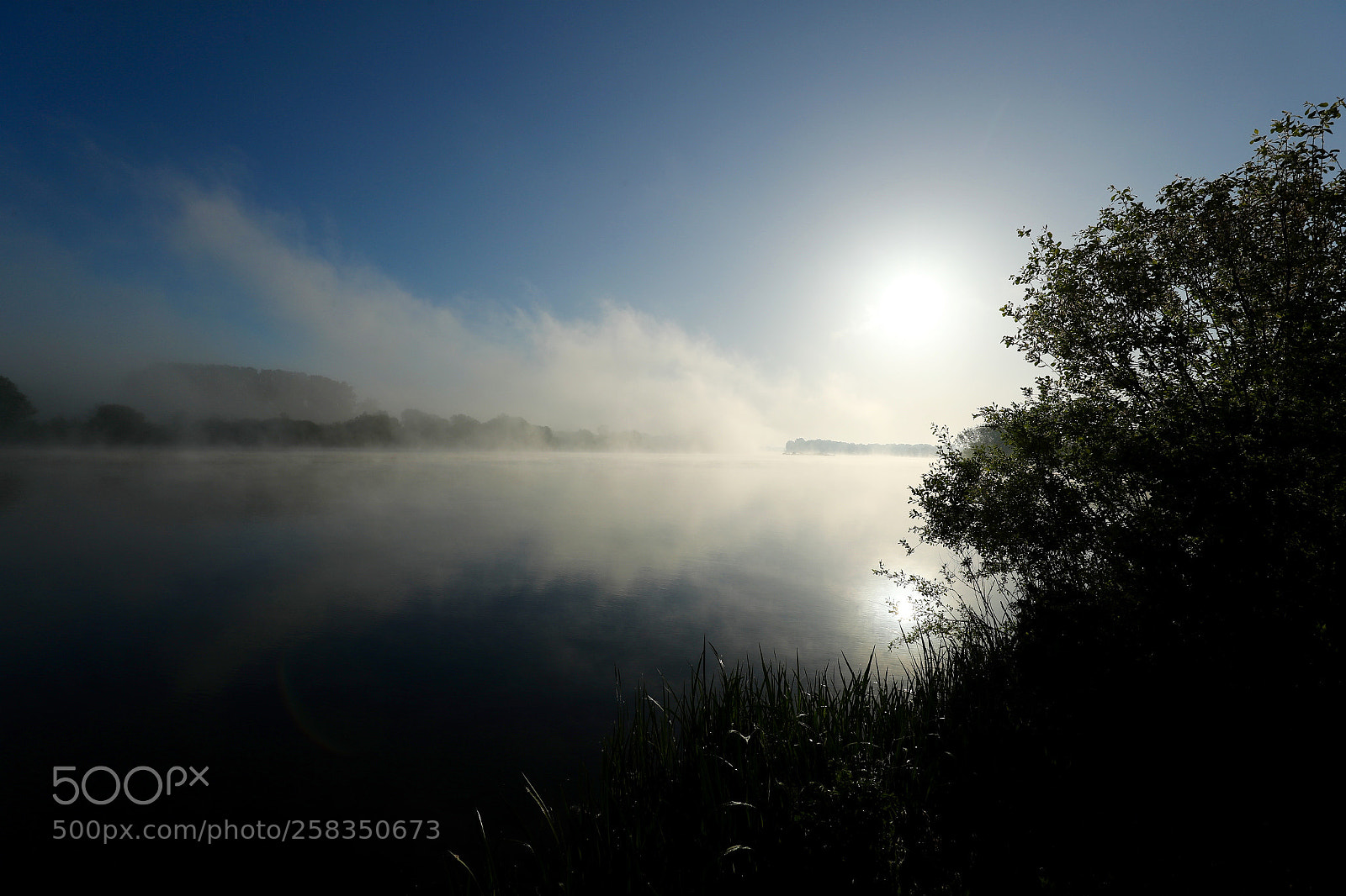 Canon EOS-1D X Mark II sample photo. Foggy morning 6 photography