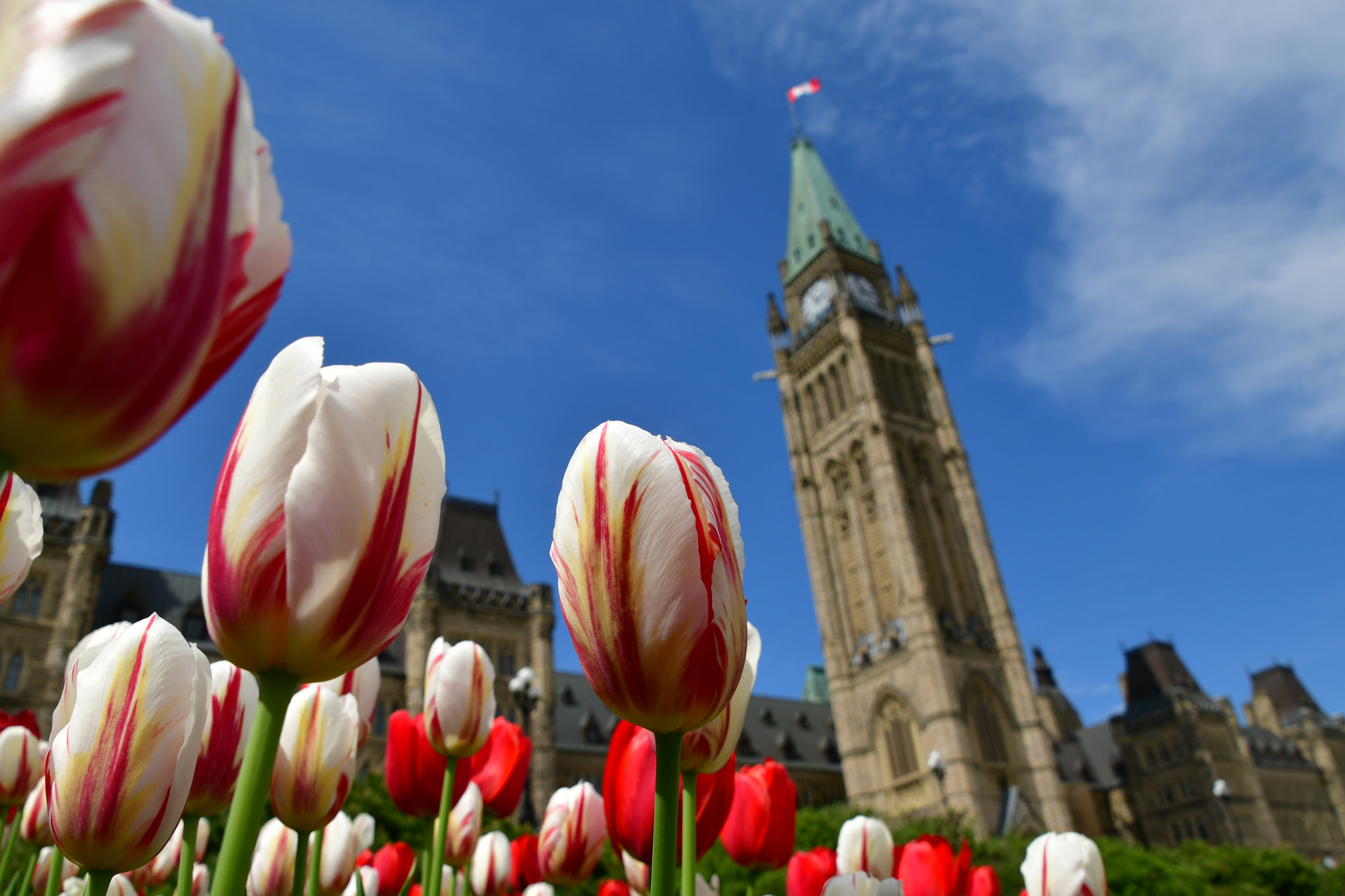 Nikon D7500 sample photo. Parliament hill  photography