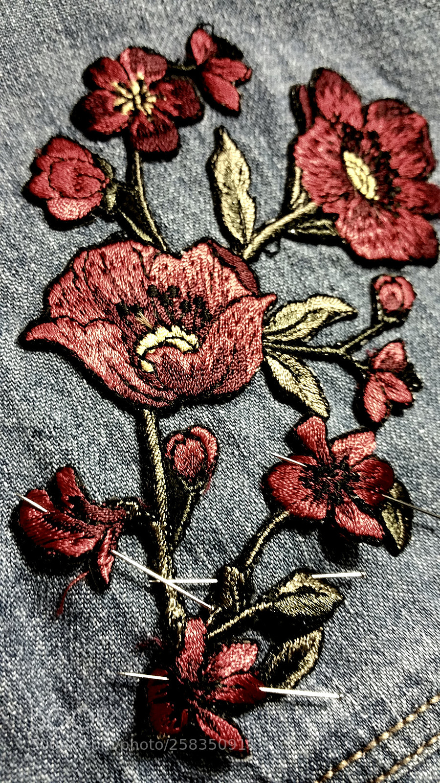 Samsung Galaxy Note4 sample photo. Needled days' photography