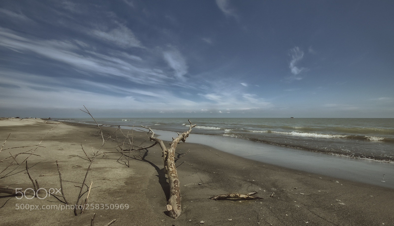 Canon EOS 80D sample photo. Wild beach photography