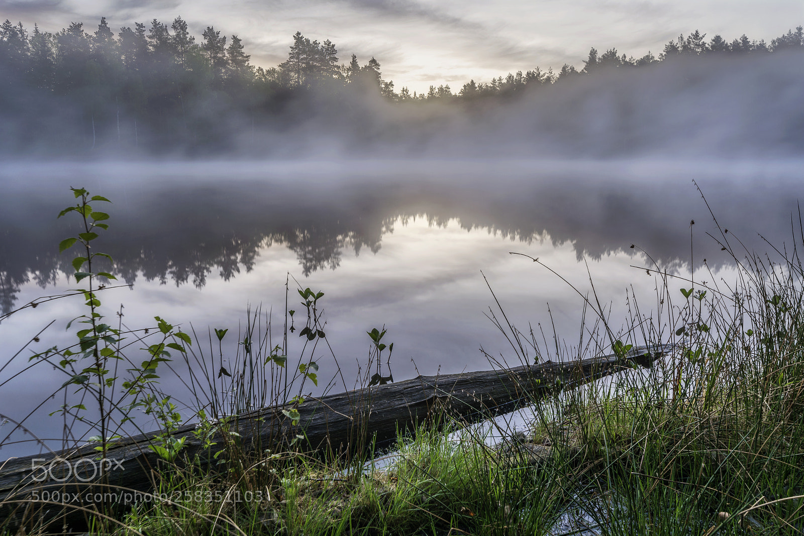 Nikon D5200 sample photo. Lake in the forest photography