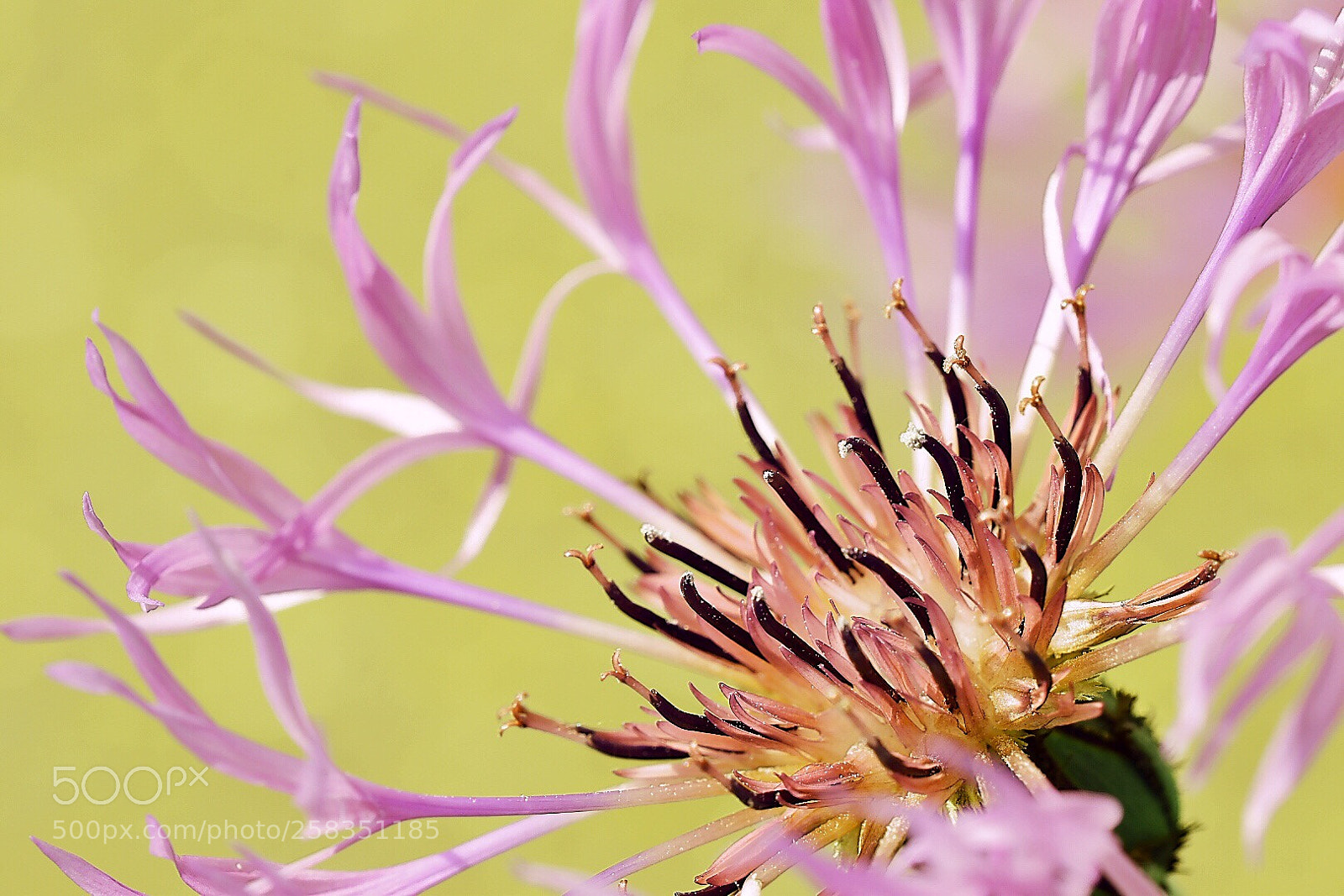 Nikon D5600 sample photo. Reaching out photography