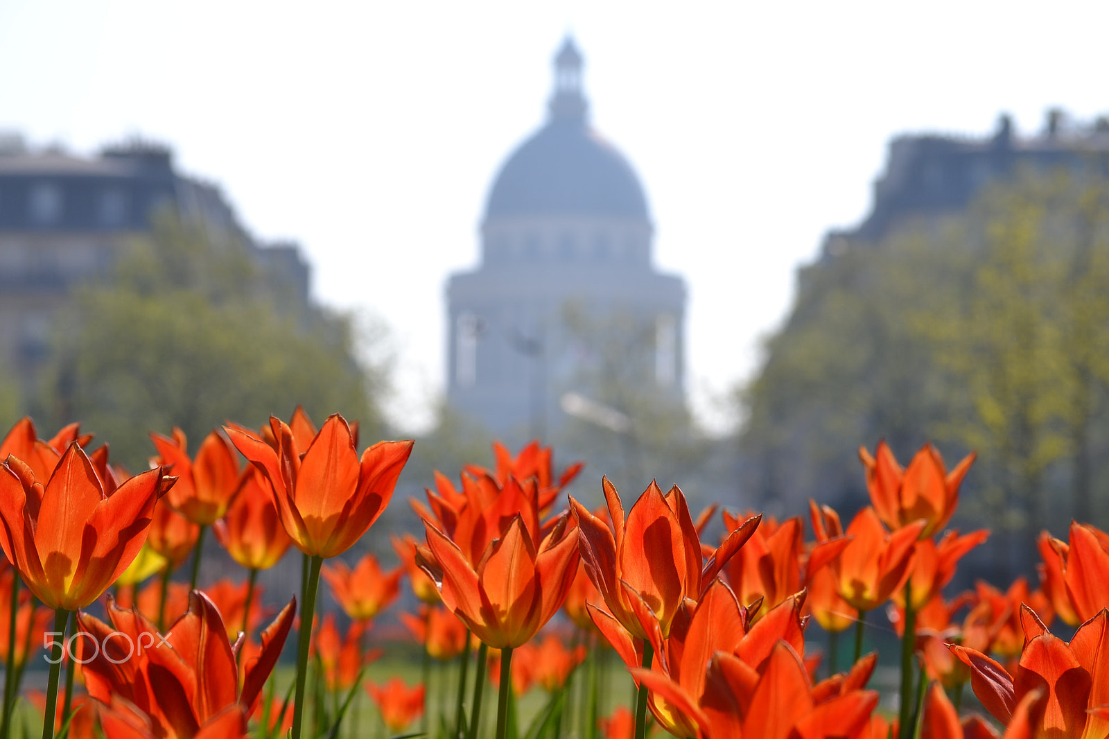 Nikon D3100 sample photo. Paris photography