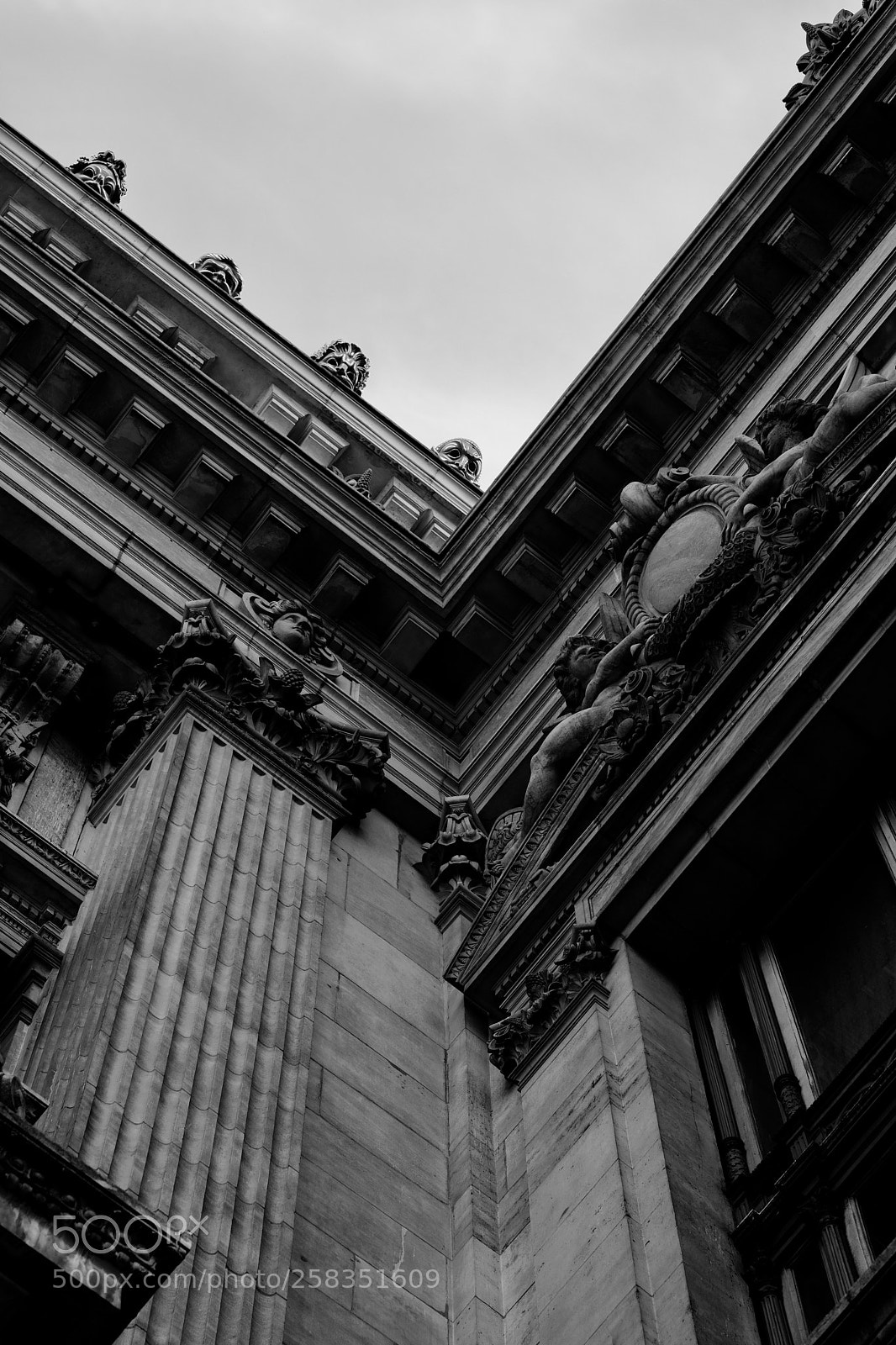 Fujifilm X-T20 sample photo. Untitled photography
