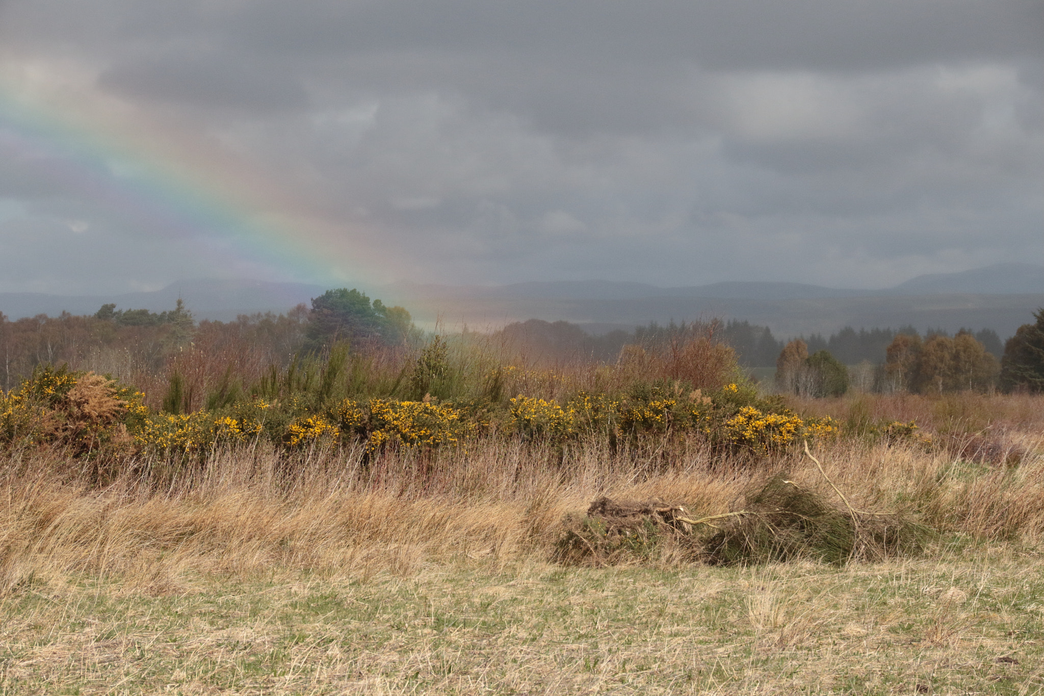 Sigma 18-250mm F3.5-6.3 DC OS HSM sample photo. Culloden photography