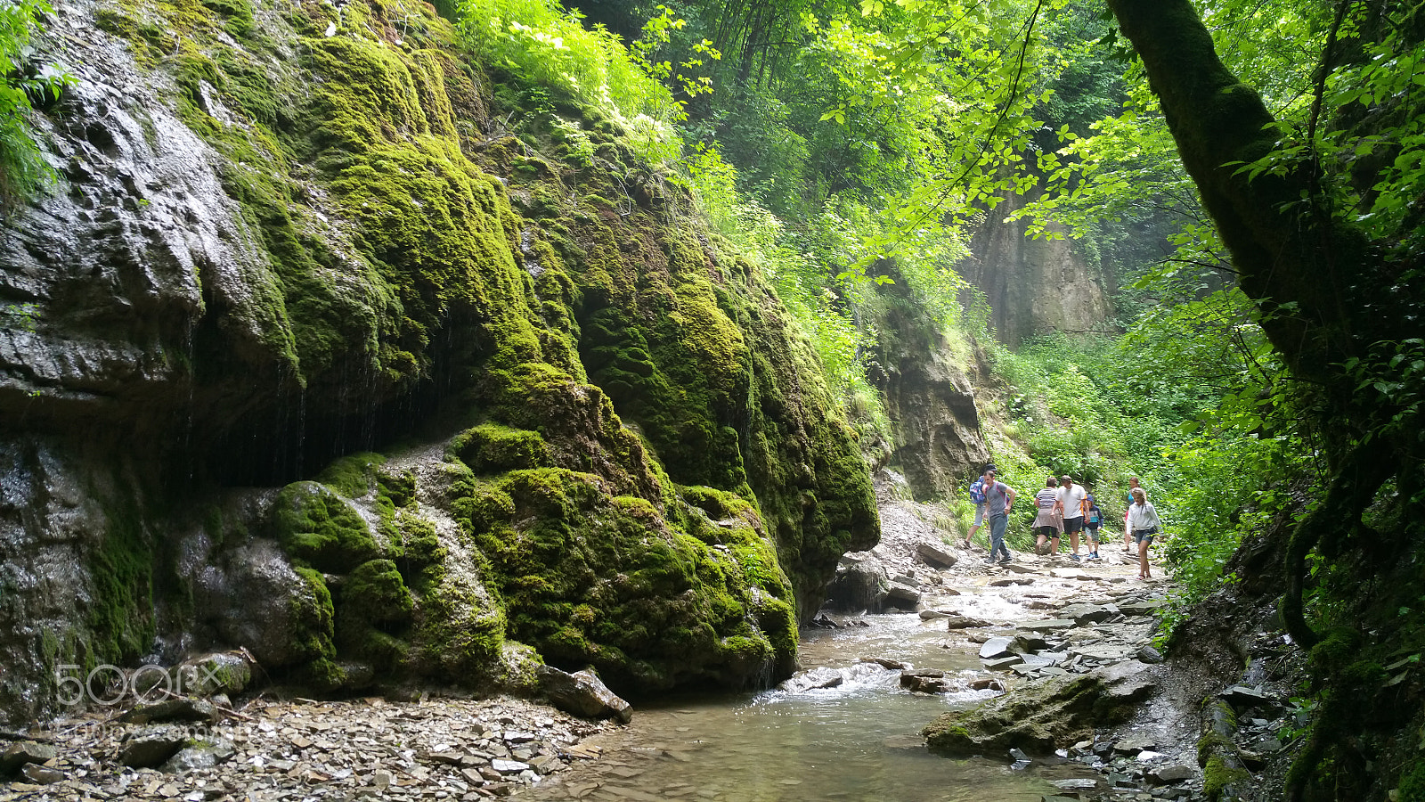 Samsung Galaxy Note4 sample photo. 20170622_132313.jpg photography