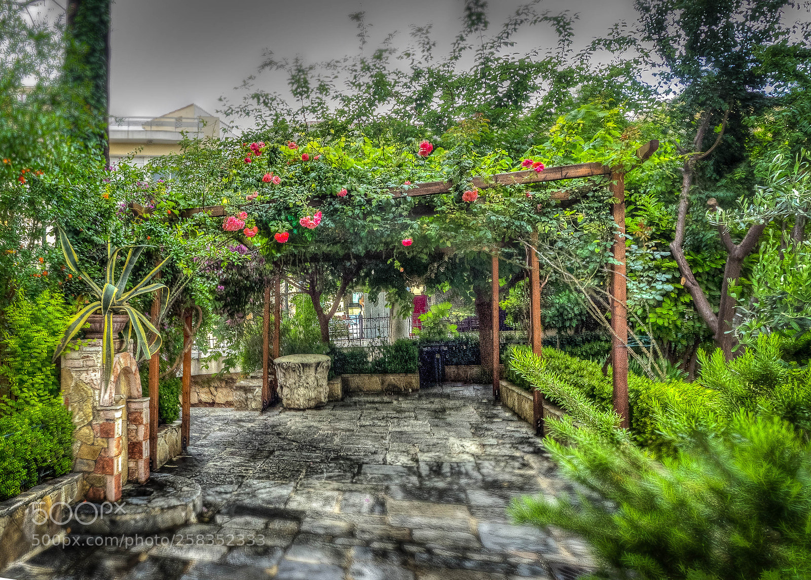 Olympus OM-D E-M1 sample photo. Secret garden photography