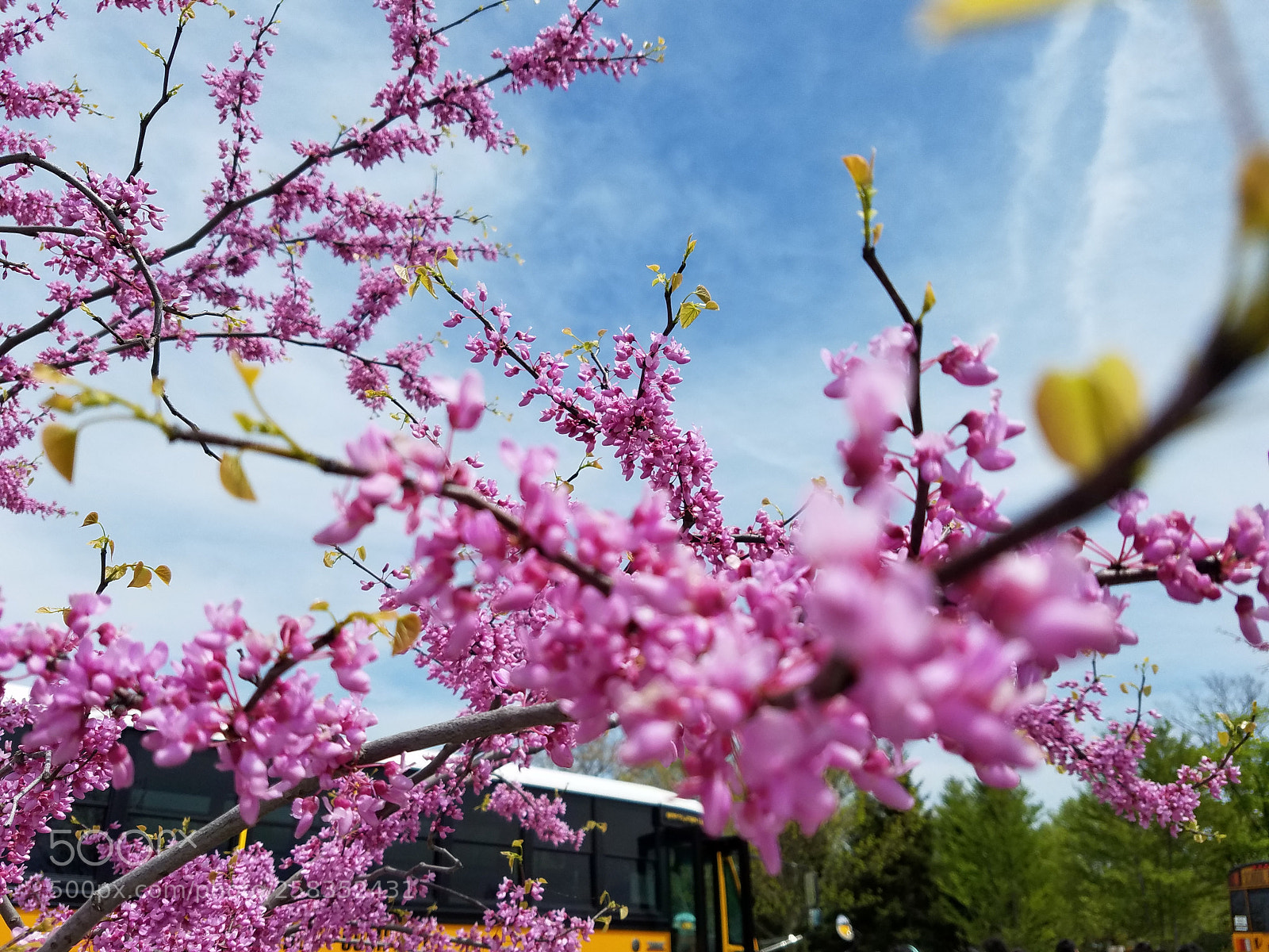 Samsung Galaxy S7 Edge sample photo. 20180517_125354.jpg photography