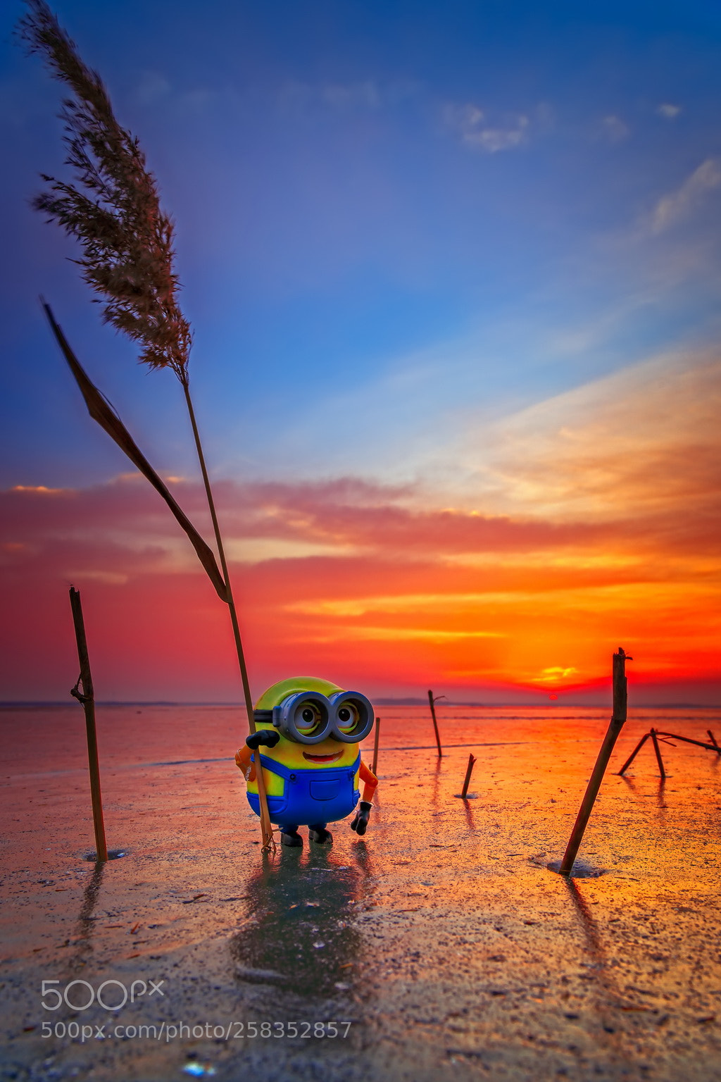 Canon EOS 6D Mark II sample photo. Guarding my sun rising photography