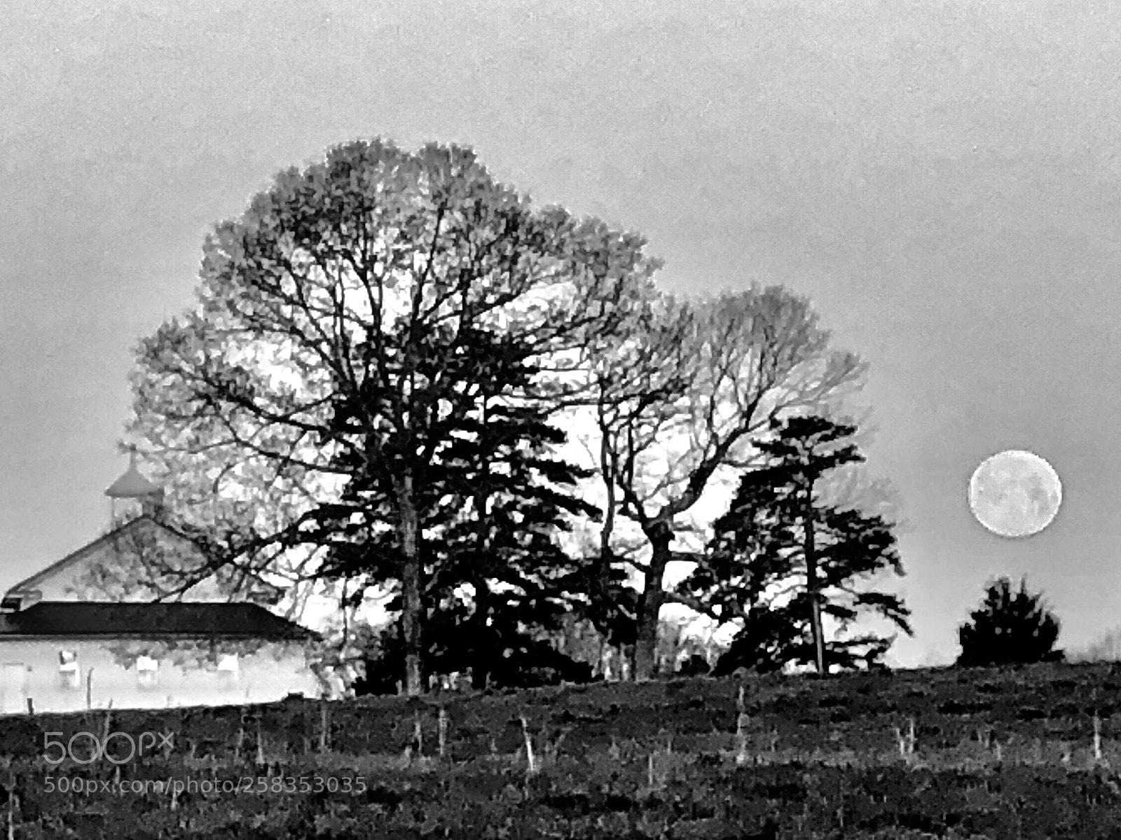 Apple iPhone X sample photo. Untitled photography