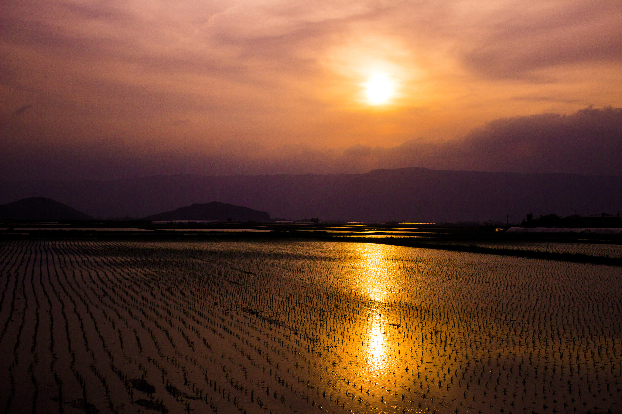 Canon EOS 600D (Rebel EOS T3i / EOS Kiss X5) sample photo. 水田 paddy field photography
