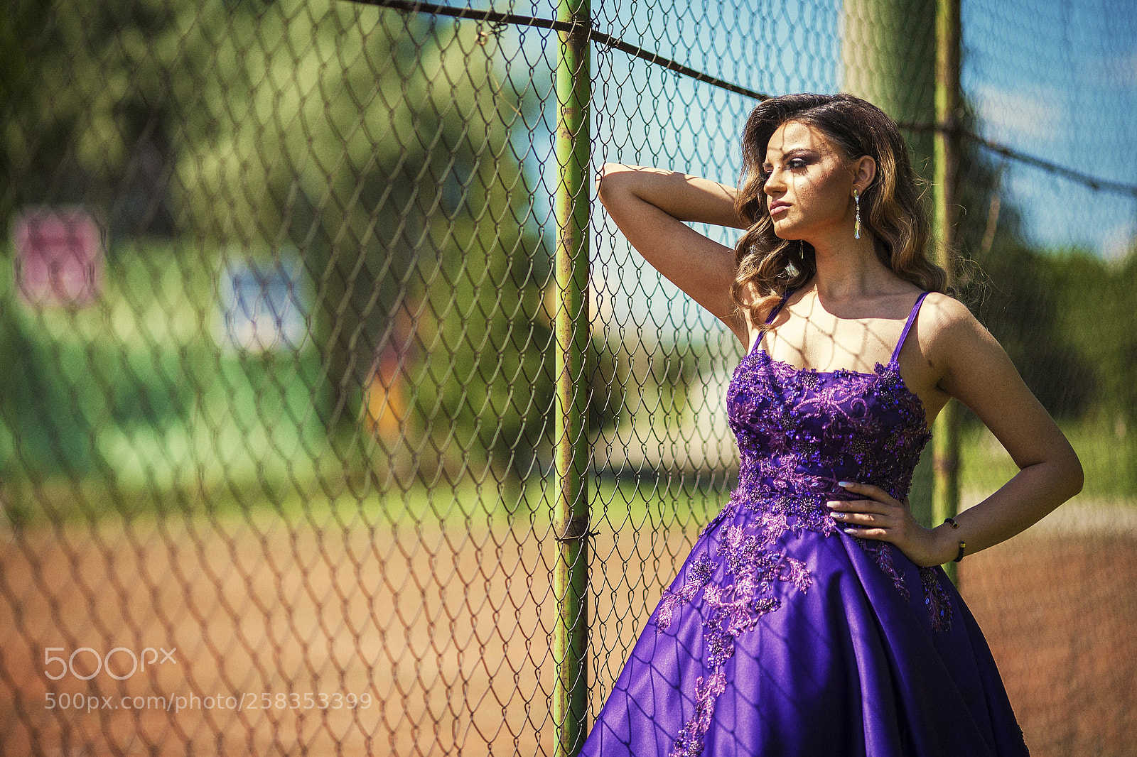 Canon EOS 5D sample photo. Looking photography