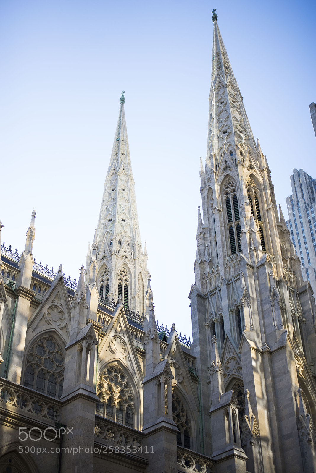 Nikon D610 sample photo. St. patrick's photography