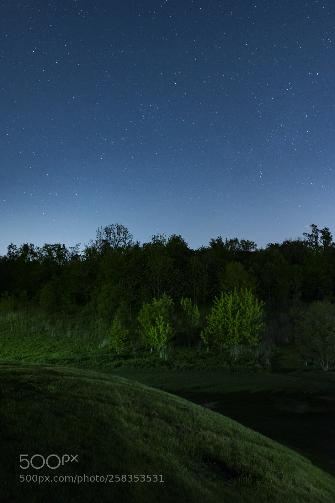 Nikon D750 sample photo. Under the stars  photography
