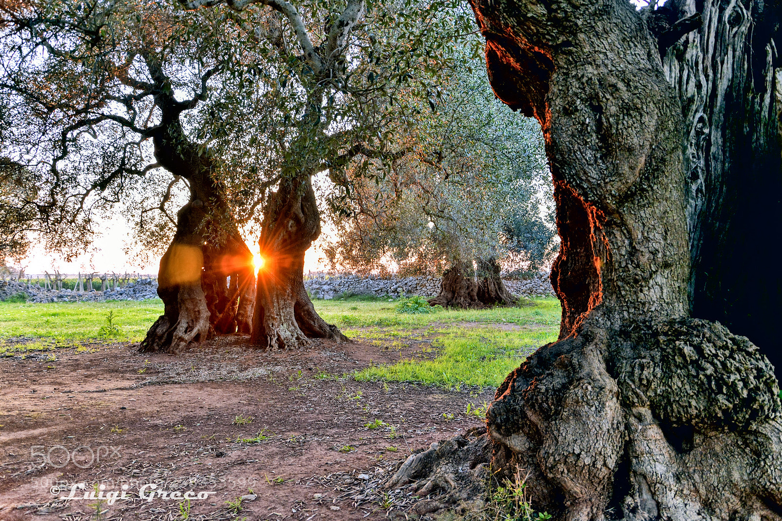 Nikon D5200 sample photo. Untitled photography