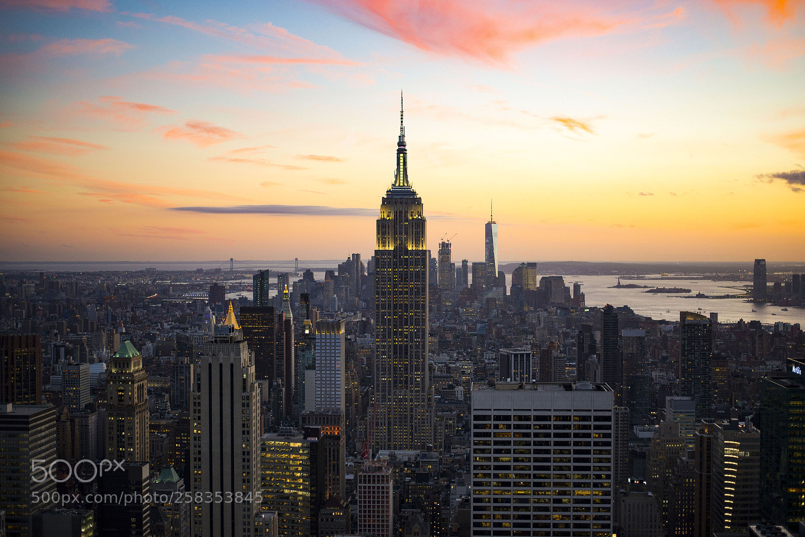 Nikon D610 sample photo. Concrete jungle photography
