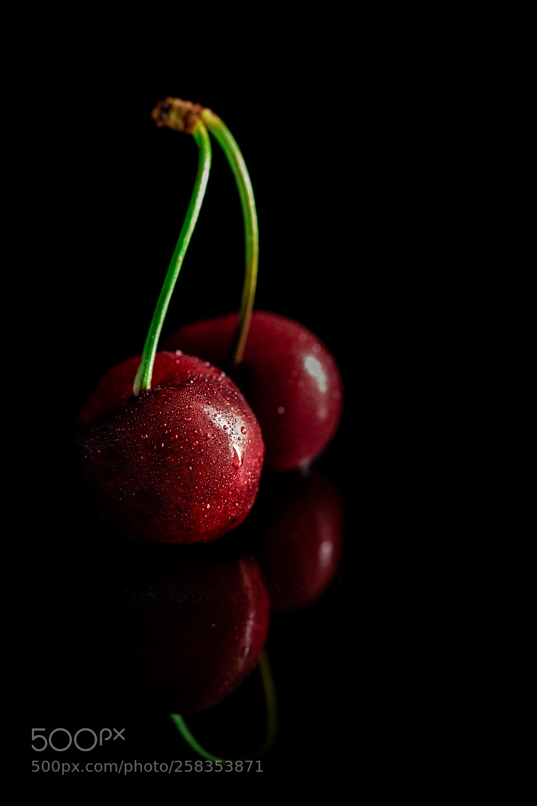 Canon EOS 5D Mark IV sample photo. Wet cherry photography
