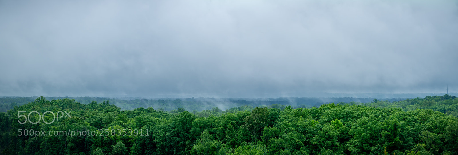 Nikon D800 sample photo. Rainy day photography