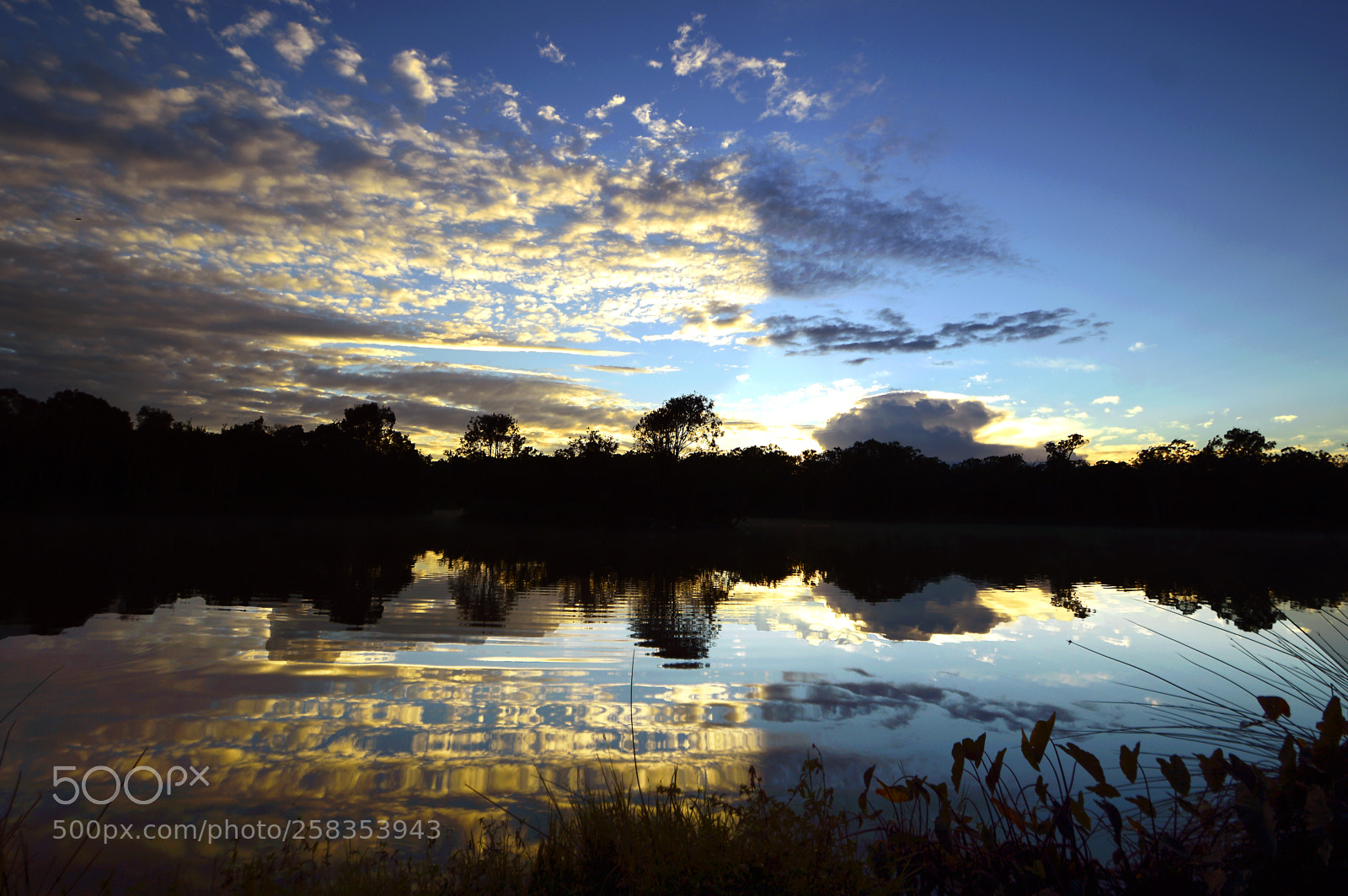 Nikon D3200 sample photo. Reflections photography