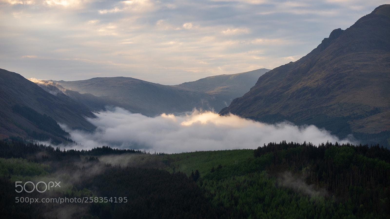 Nikon D610 sample photo. Fog in the valley photography