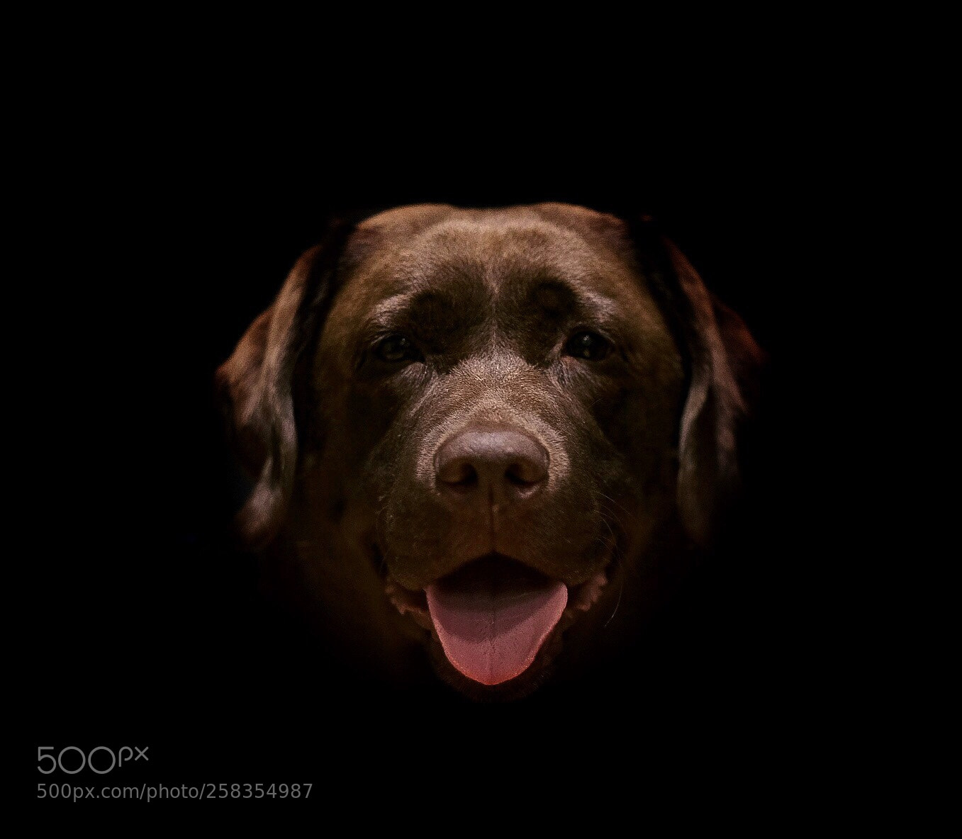Fujifilm X-H1 sample photo. Chocolate in the dark photography