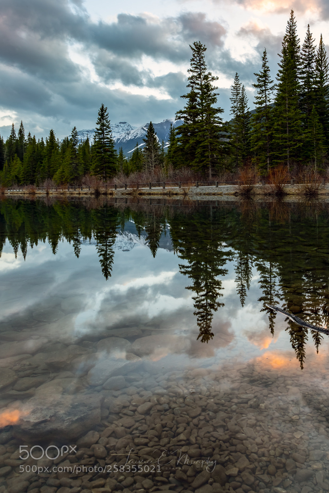 Canon EOS 6D sample photo. Evening at the pond photography