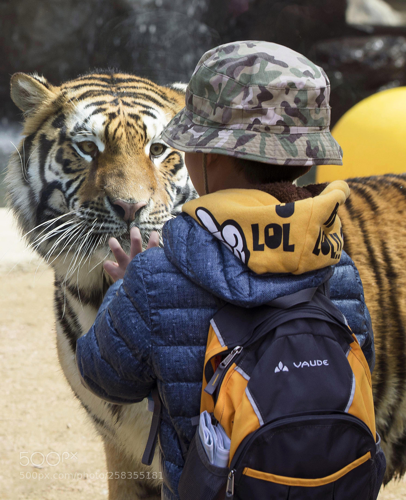 Nikon D850 sample photo. Are not you scared? photography