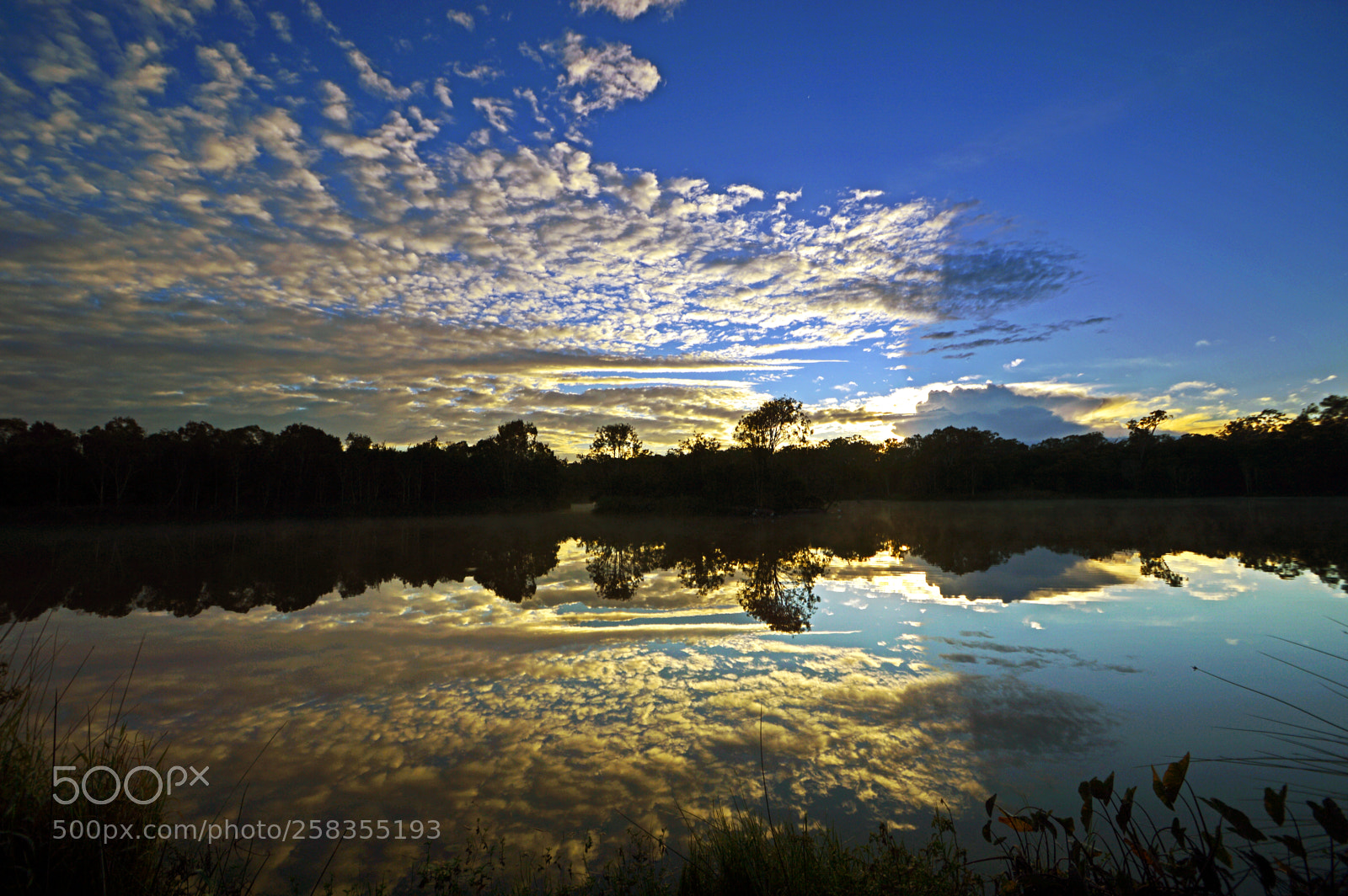 Nikon D3200 sample photo. Still water reflections photography