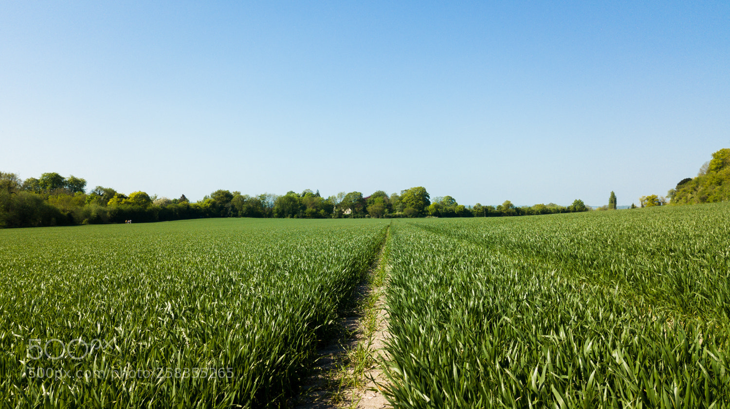 DJI FC220 sample photo. Ploughed field photography